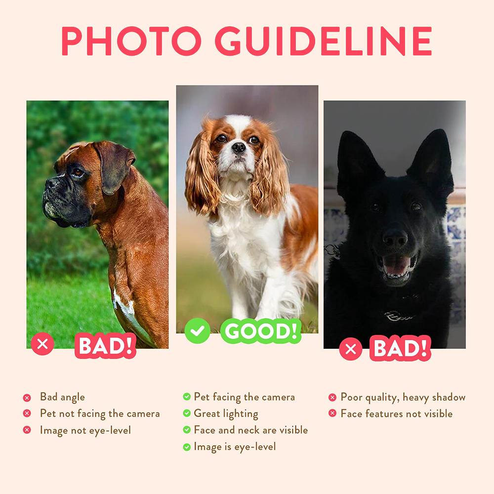 Retratos Personalizados de Mas - Pet Portrait Custom reseña y precio
